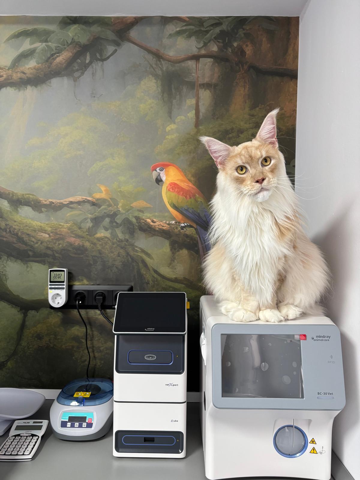 whatsapp image 2025 12 03 at 19.42.57