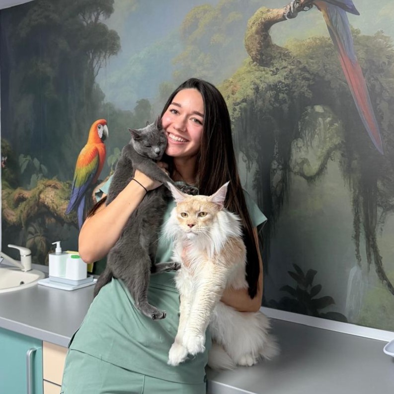 whatsapp image 2025 12 04 at 00.38.19