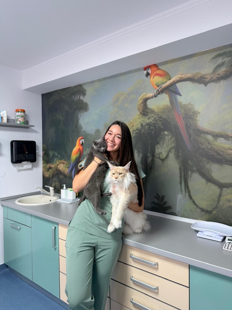 whatsapp image 2025 12 04 at 00.38.19