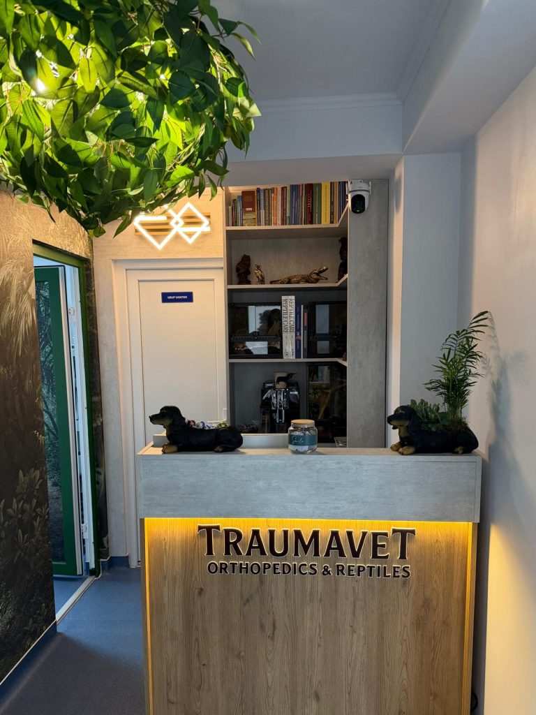 whatsapp image 2025 12 04 at 21.16.00