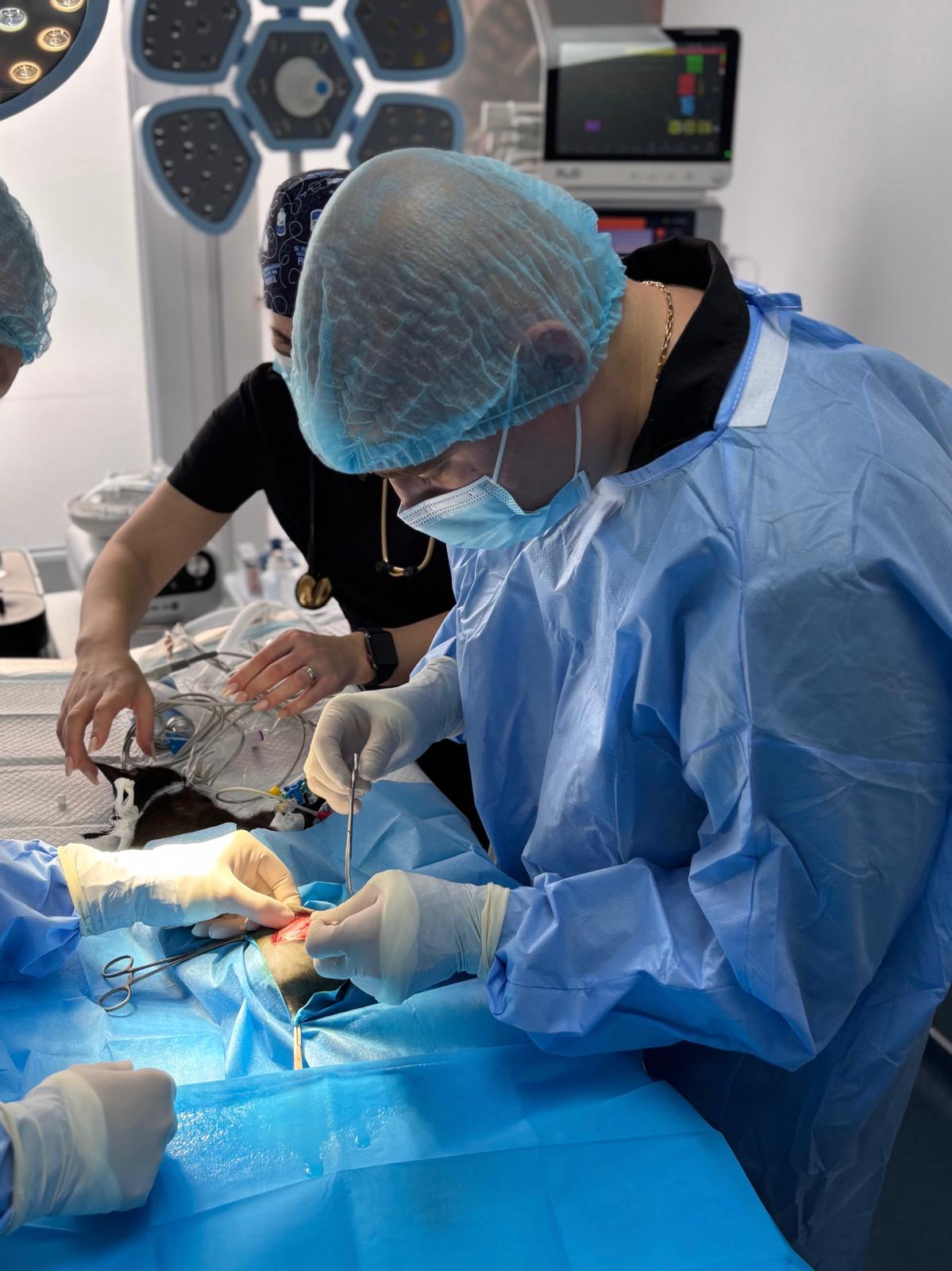 whatsapp image 2025 12 07 at 22.14.03