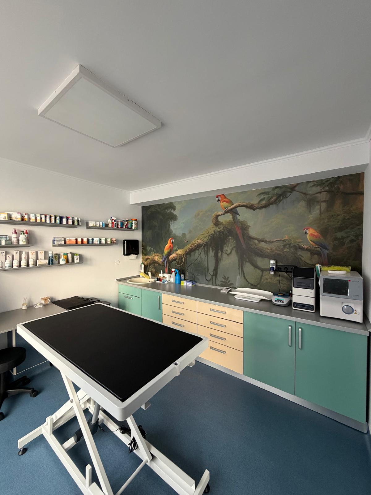 whatsapp image 2025 12 07 at 23.56.21