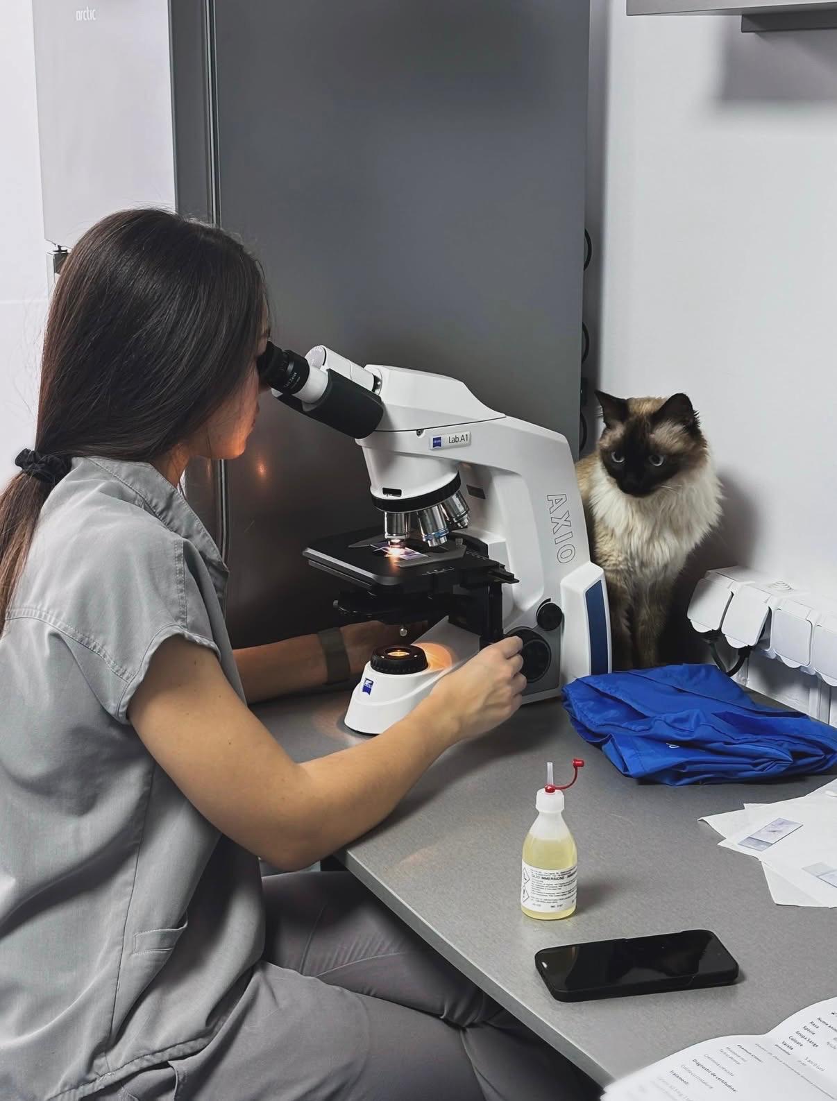 whatsapp image 2025 12 08 at 00.02.56