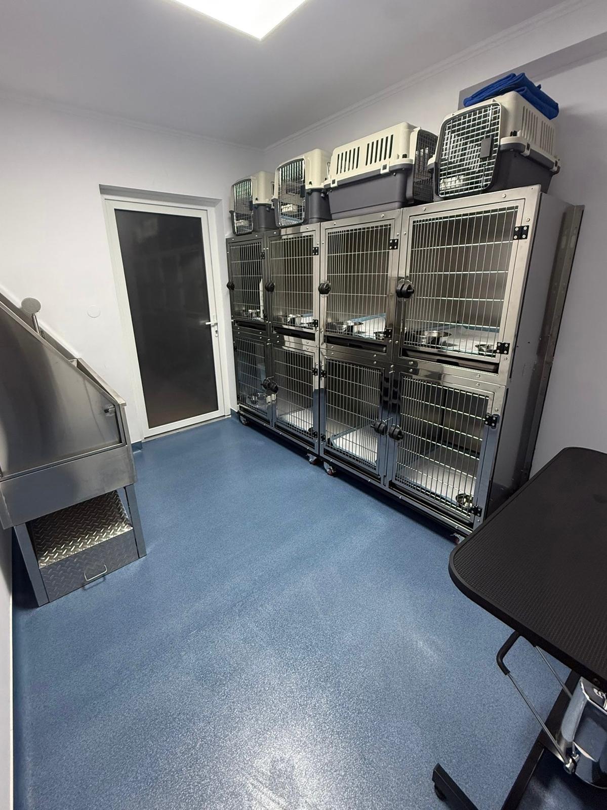 whatsapp image 2025 12 08 at 00.11.53