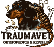 cropped thumbnail.png